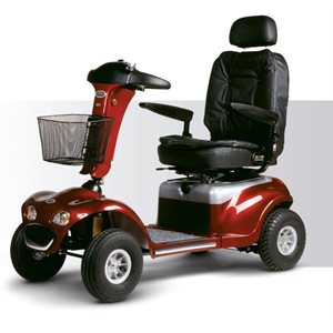 Four Wheel Scooter: Landcruiser