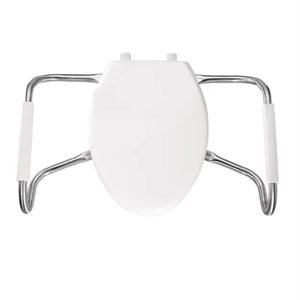 Toilet Seat: Elongated With Cover and Armrest