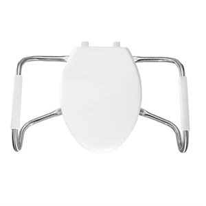 Toilet Seat: Elongated (with cover)